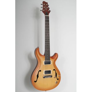 Telura-HBS, E-Gitarre, Korpus: Mahagoni-Fichte, Hals:...